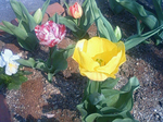 200904081527000s.jpg