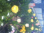 200904081528000s.jpg