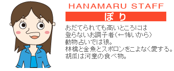 ぽり